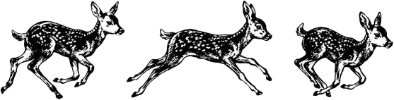 Crest
